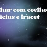 Sonhar com coelho, Vinicius e Iracet