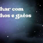 Sonhar com coelhos e gatos