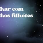 Sonhar com coelhos filhotes