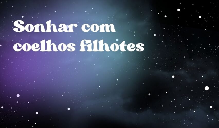 Sonhar com coelhos filhotes