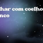 Sonhar com coelho branco