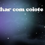 Sonhar com coiote