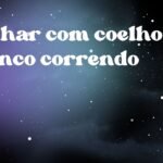 Sonhar com coelho branco correndo