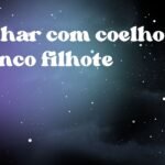 Sonhar com coelho branco filhote