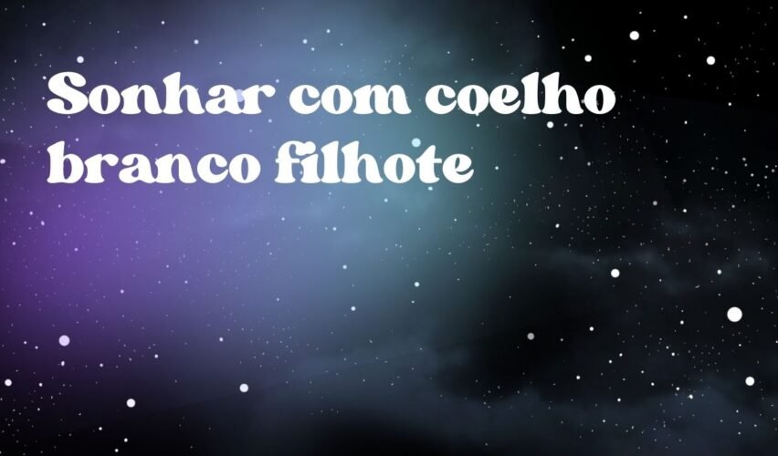 Sonhar com coelho branco filhote
