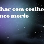 Sonhar com coelho branco morto