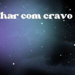 Sonhar com cravo