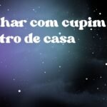 Sonhar com cupim dentro de casa