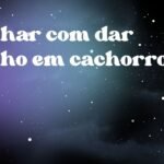 Sonhar com dar banho em cachorro