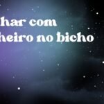 Sonhar com dinheiro no bicho