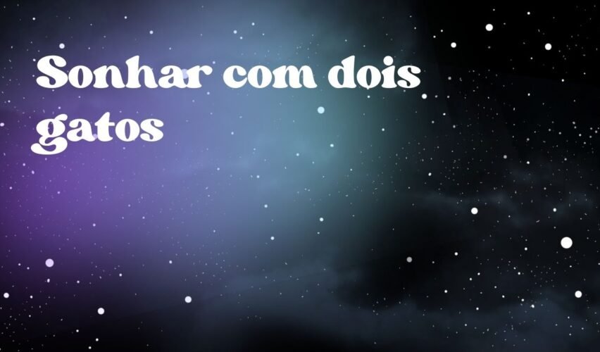 Sonhar com dois gatos