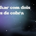 Sonhar com dois tipos de cobra