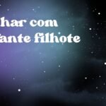 Sonhar com elefante filhote