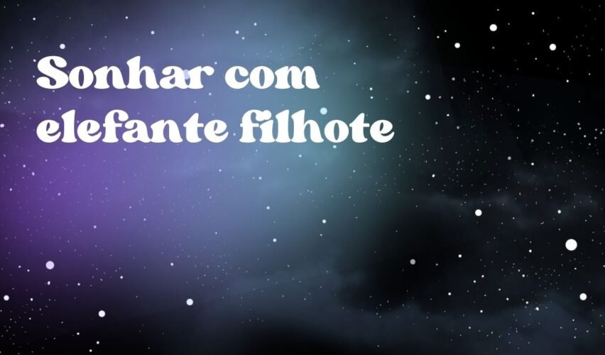 Sonhar com elefante filhote