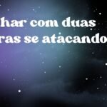 Sonhar com duas cobras se atacando