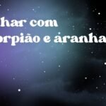 Sonhar com escorpião e aranha