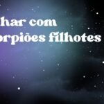 Sonhar com escorpiões filhotes