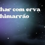 Sonhar com erva de chimarrão