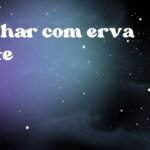 Sonhar com erva mate
