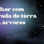 Sonhar com estrada de terra com árvores